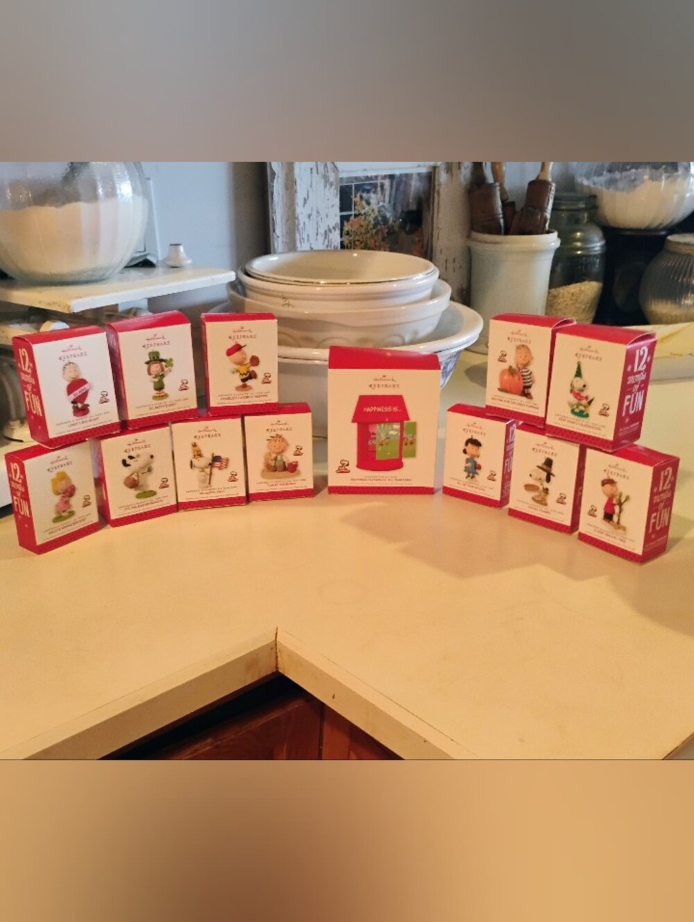 Hallmark Keepsake “Happiness Is Peanuts All Year Long” 12 Ornaments & Display